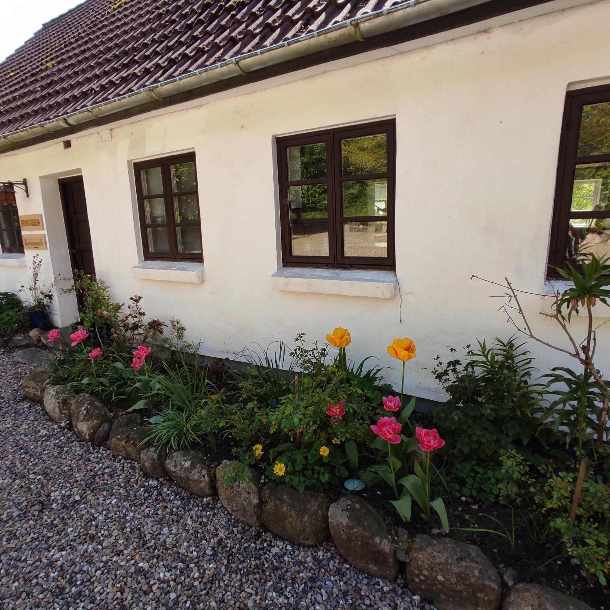 Emily'S Garden Bed & Breakfast Lintrup Exterior photo
